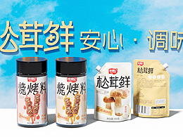 100%原创-象鸟创意设计作品