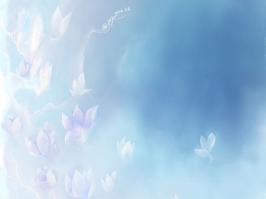 幻彩芳华【一】