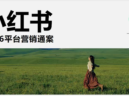 2026小红书平台全年营销招商方案-77P