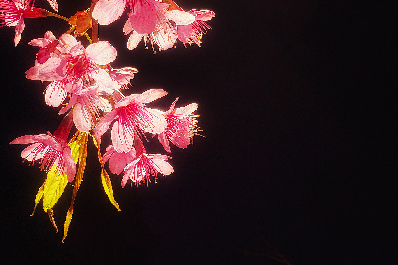 手机摄影（图ZNDAzNzk4NDYw） - 风光摄影 - 站酷设计师amhx原创素材 - 站酷ZCOOL