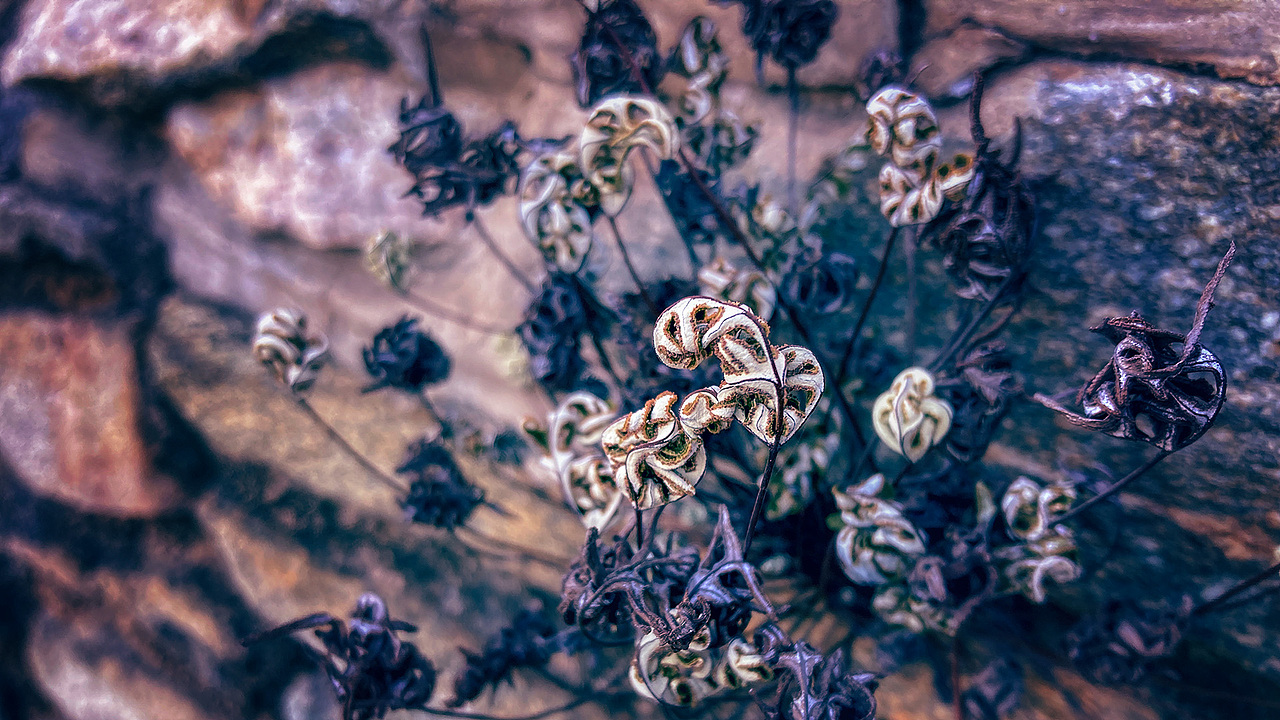 手机摄影（图ZNDAzNzk4NDk2） - 风光摄影 - 站酷设计师amhx原创素材 - 站酷ZCOOL