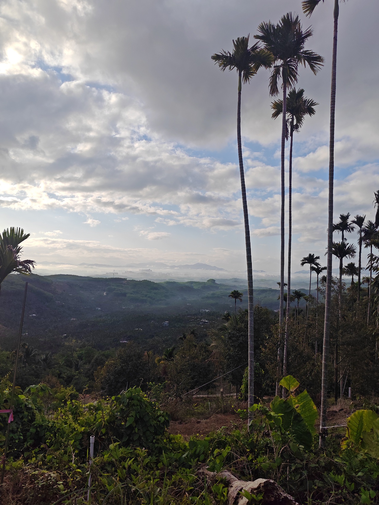 海南保停（图ZNDAzNzk5MjU2） - 风光摄影 - 站酷设计师天下第一牛原创素材 - 站酷ZCOOL