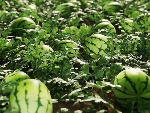 农产品农药视频创作 AI+三维会出意想不到的效果