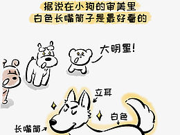 近期和花西子合作的漫画广告一则