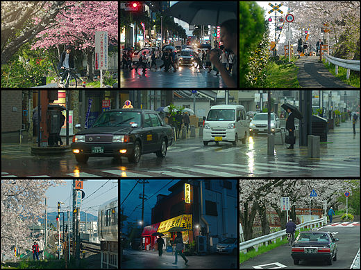 如春天一般诚恳