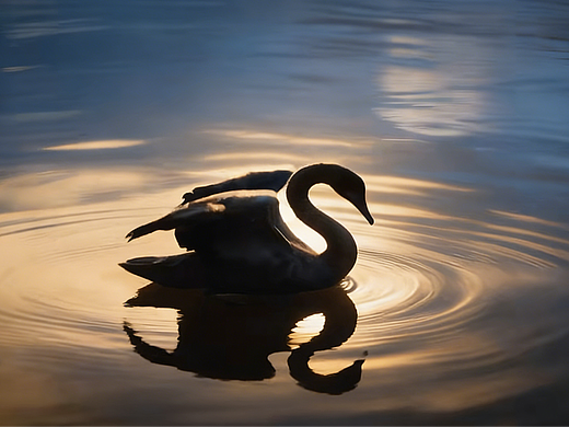 智能柜锁展示（个人主页-ZNzMyNzk5ODA=） - 产品 - 站酷设计师大橘猫设计原创素材 - 站酷ZCOOL