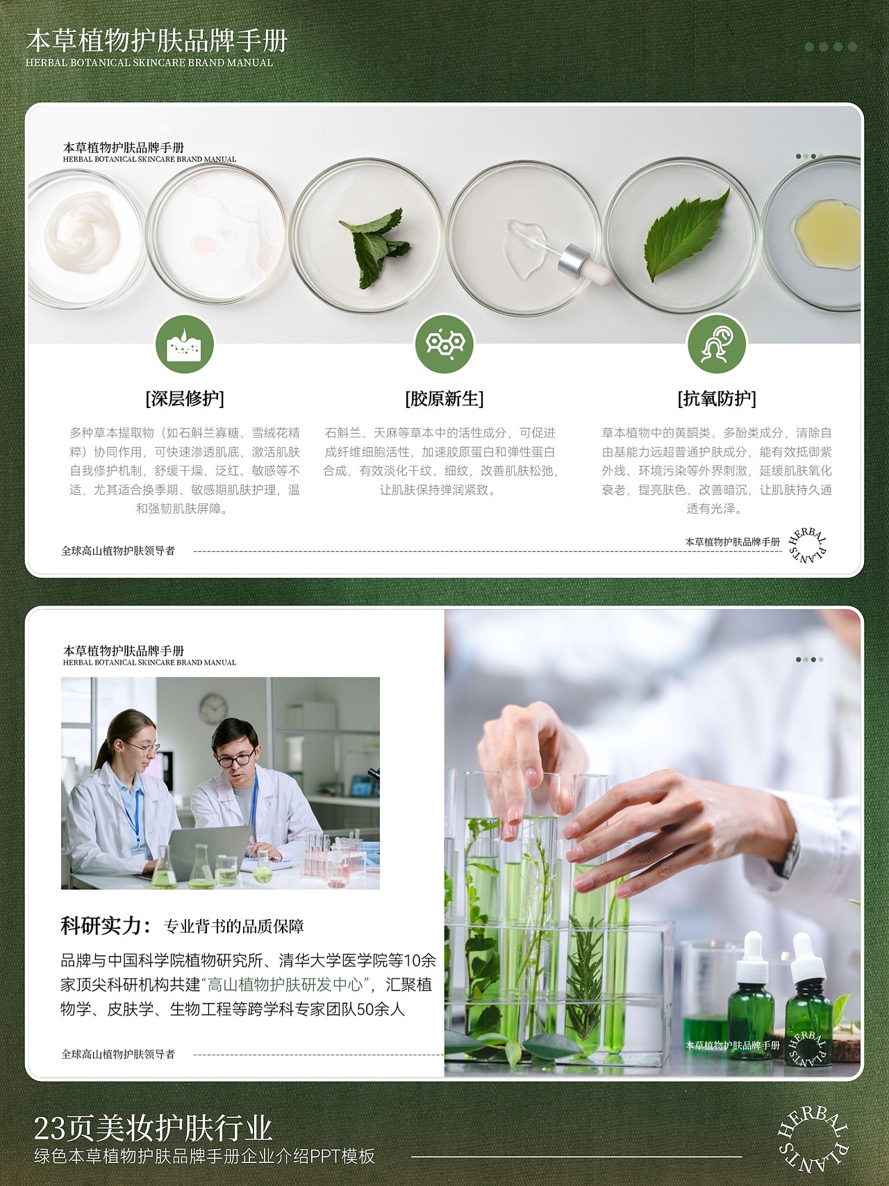 美妆护肤行业绿色本草植物护肤品牌手册（图ZNDAzODI0NTY4） - PPT/Keynote - 站酷设计师熊猫大人pandaren原创素材 - 站酷ZCOOL