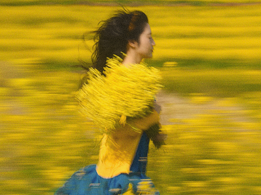 如花在野，温柔热烈