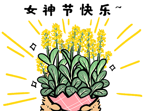 老公和孩子联手送的花能有多香？