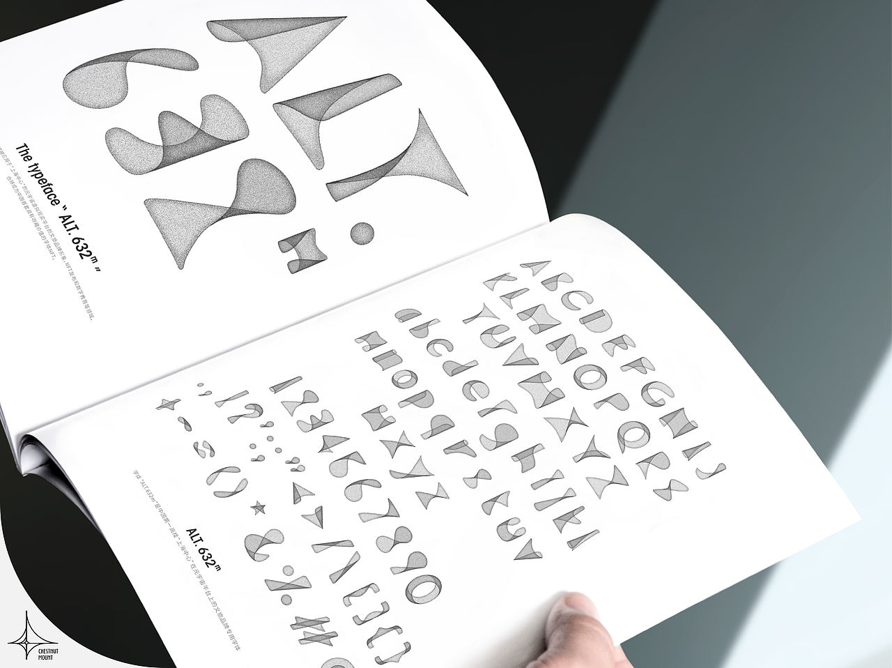 《上海中心》英文字体设计（图ZNDAzODU2MTU2） - 品牌 - 站酷设计师栗子山DesignLab原创素材 - 站酷ZCOOL