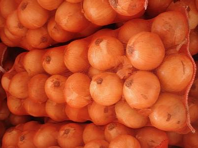 3月精选：质量好的蔬菜网眼袋批发厂家推荐