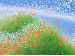 插画