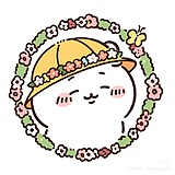 白露露的头像