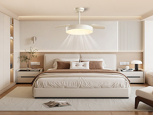 国内风扇灯-详情页