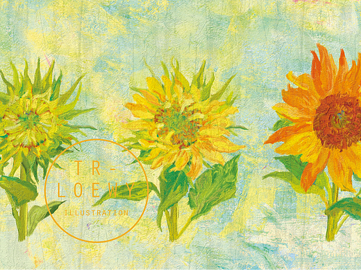 向日葵是怎么开花的 ​​​