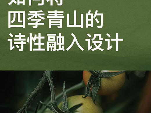 赴青山｜贵州酸汤火锅品牌升级全案 