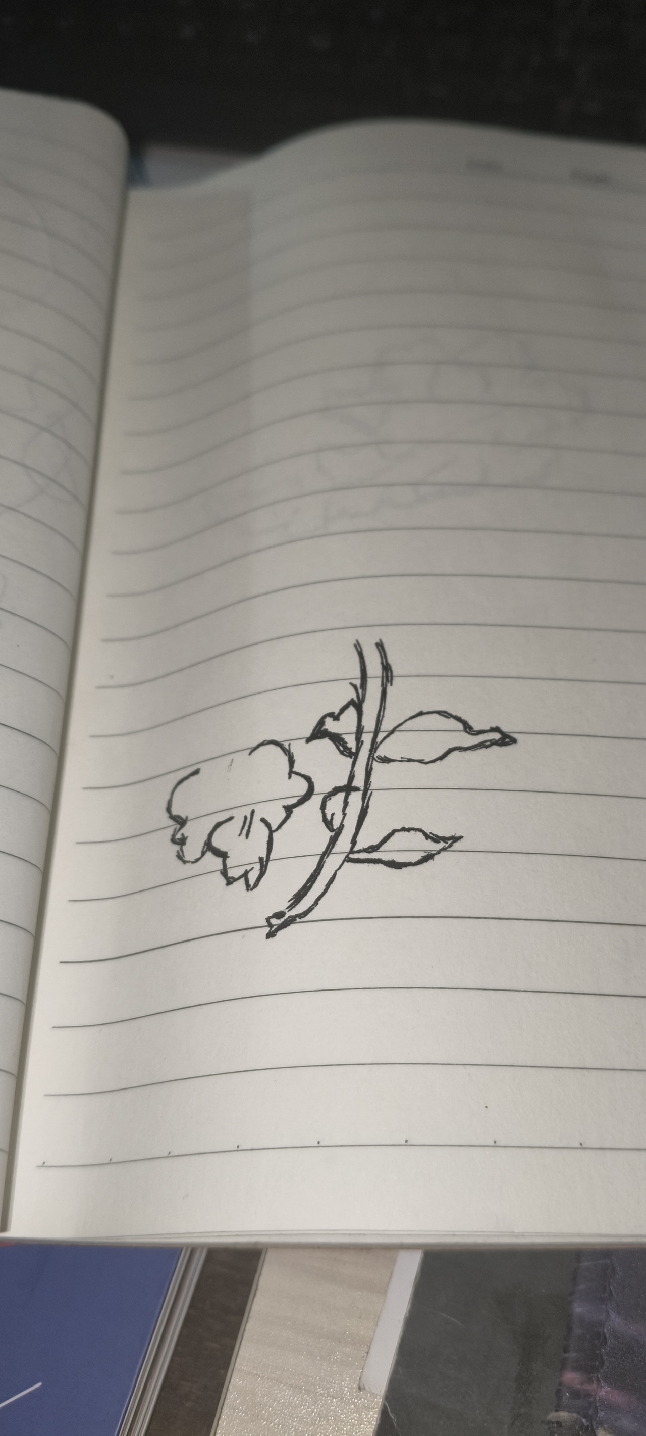 ：手绘造型练习合集｜结构透视原创草稿（图ZNDAzOTM5MDA0） - 创作习作 - 站酷设计师枫棠手绘设计原创素材 - 站酷ZCOOL