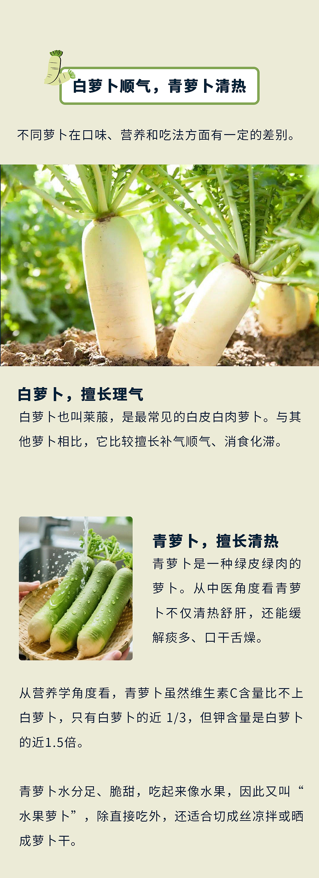 冬吃萝卜赛人参（图ZNDAzOTQ5MDY4） - 海报 - 站酷设计师琪安原创素材 - 站酷ZCOOL