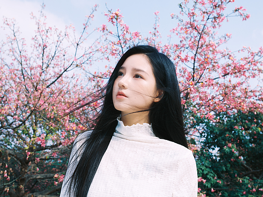 告诉我，冬天的花开了