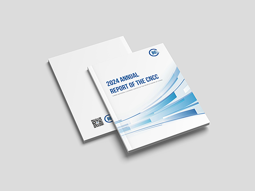 银行清算中心年度报告英文版