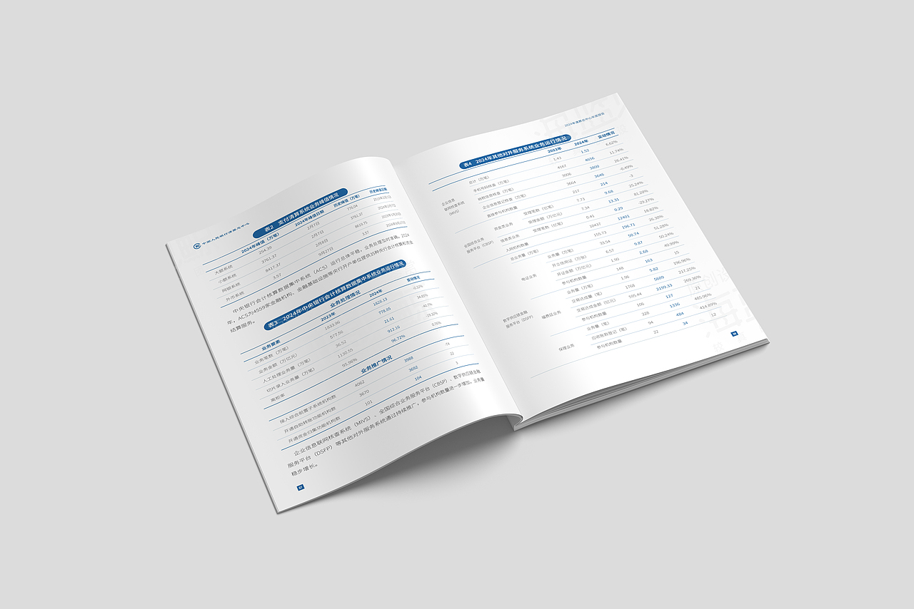 银行清算中心年度报告中文版（图ZNDAzOTY5NzY0） - 书籍/画册 - 站酷设计师海蓝见鲸品牌设计原创素材 - 站酷ZCOOL