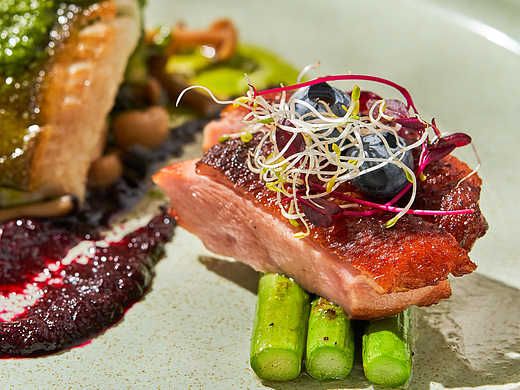 简餐菜单拍摄｜glance✖️朴一  简餐春季菜单KV上新