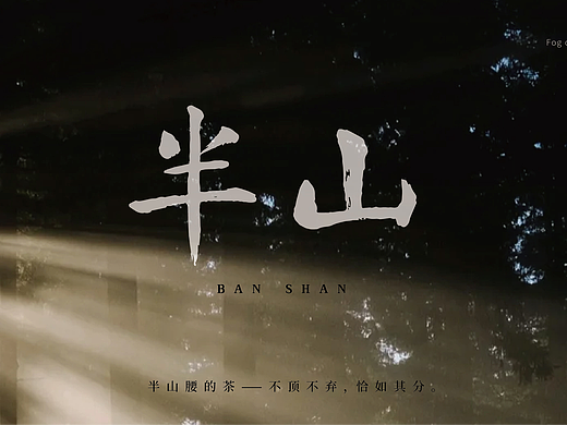 半山茶叶品牌vi设计