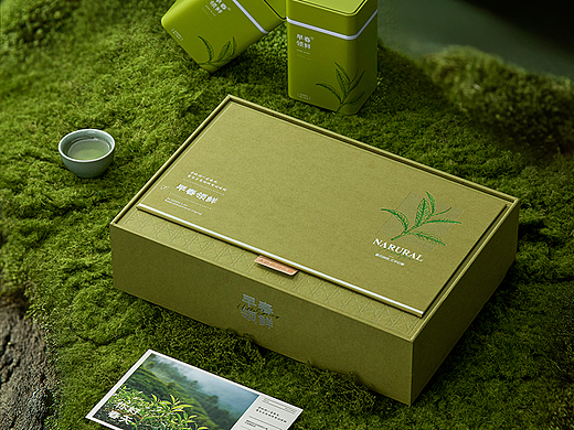 2026春茶礼盒茶叶包装森系风格摄影