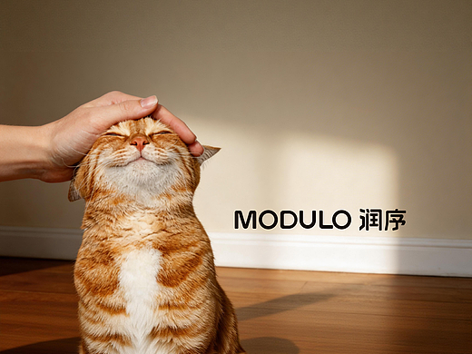 润序 MODULO 宠物猫粮 品牌