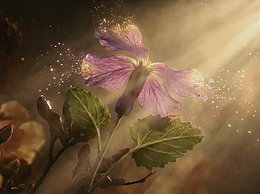 催促的枯萎 Hurried Wither