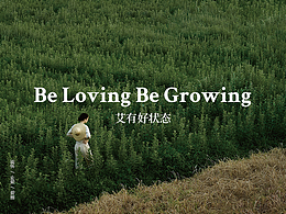 艾艾贴2026官网,微信,小程序,手机端——雨飞作品