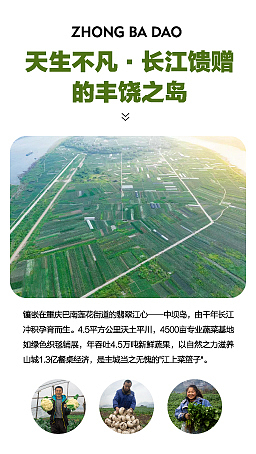 详情页设计（图ZNDA0MDQzMjY4） - 品牌 - 站酷设计师射影长弓杯原创素材 - 站酷ZCOOL
