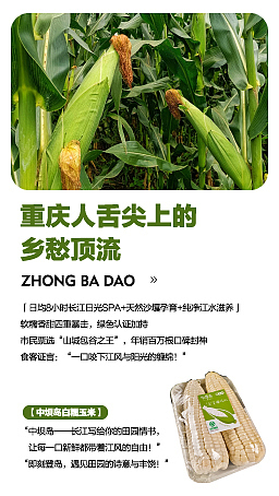 详情页设计（图ZNDA0MDQzMjgw） - 品牌 - 站酷设计师射影长弓杯原创素材 - 站酷ZCOOL
