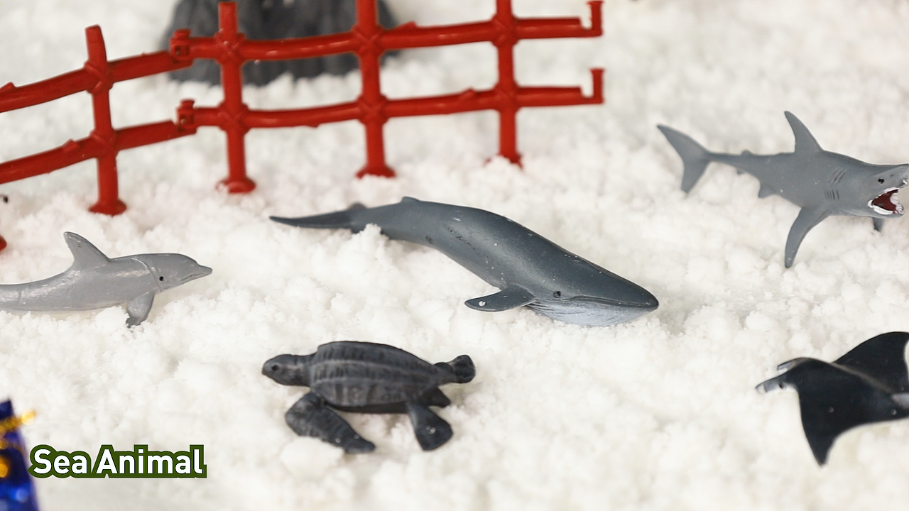 产品视频 | 玩具展示 | 圣诞氛围（图ZNDA0MDQ2NTg4） - 玩具 - 站酷设计师Z45245360原创素材 - 站酷ZCOOL