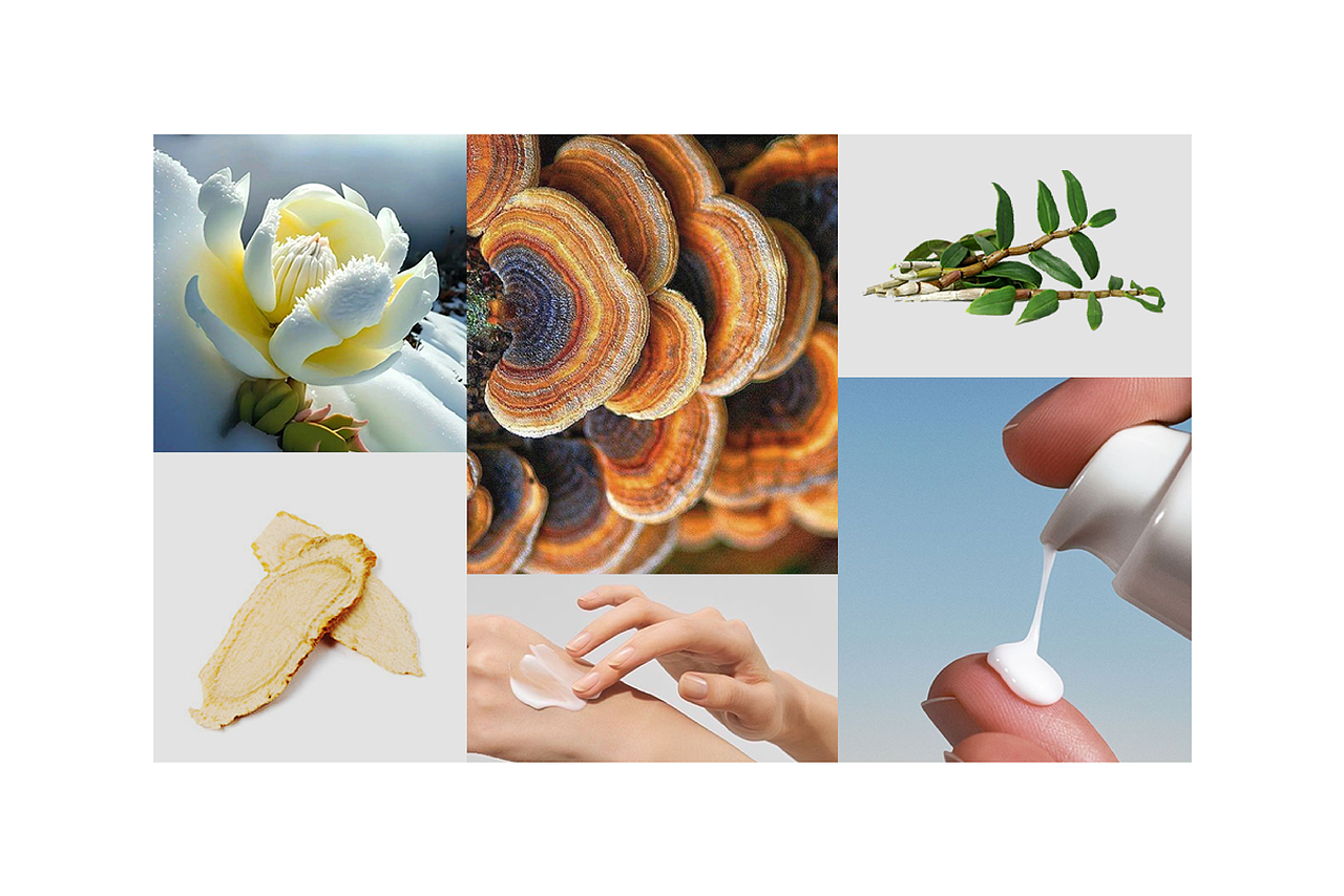 【原创】护肤品牌包装设计/面霜/水乳（图ZNDA0MDU1MDA4） - 品牌 - 站酷设计师罗可罗原创素材 - 站酷ZCOOL