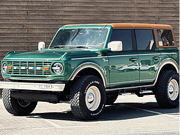 AIGC AI影像·《山野烈馬》