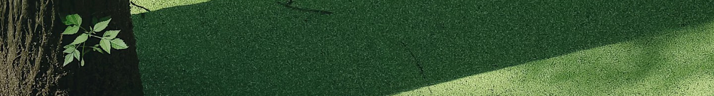 鲸落屿的个人主页（封面预览） - 主页封面设置 - 站酷设计师鲸落屿原创素材 - 站酷ZCOOL