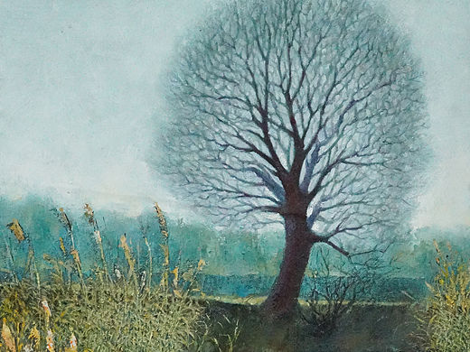 冬天快要结束了，春天还没有来