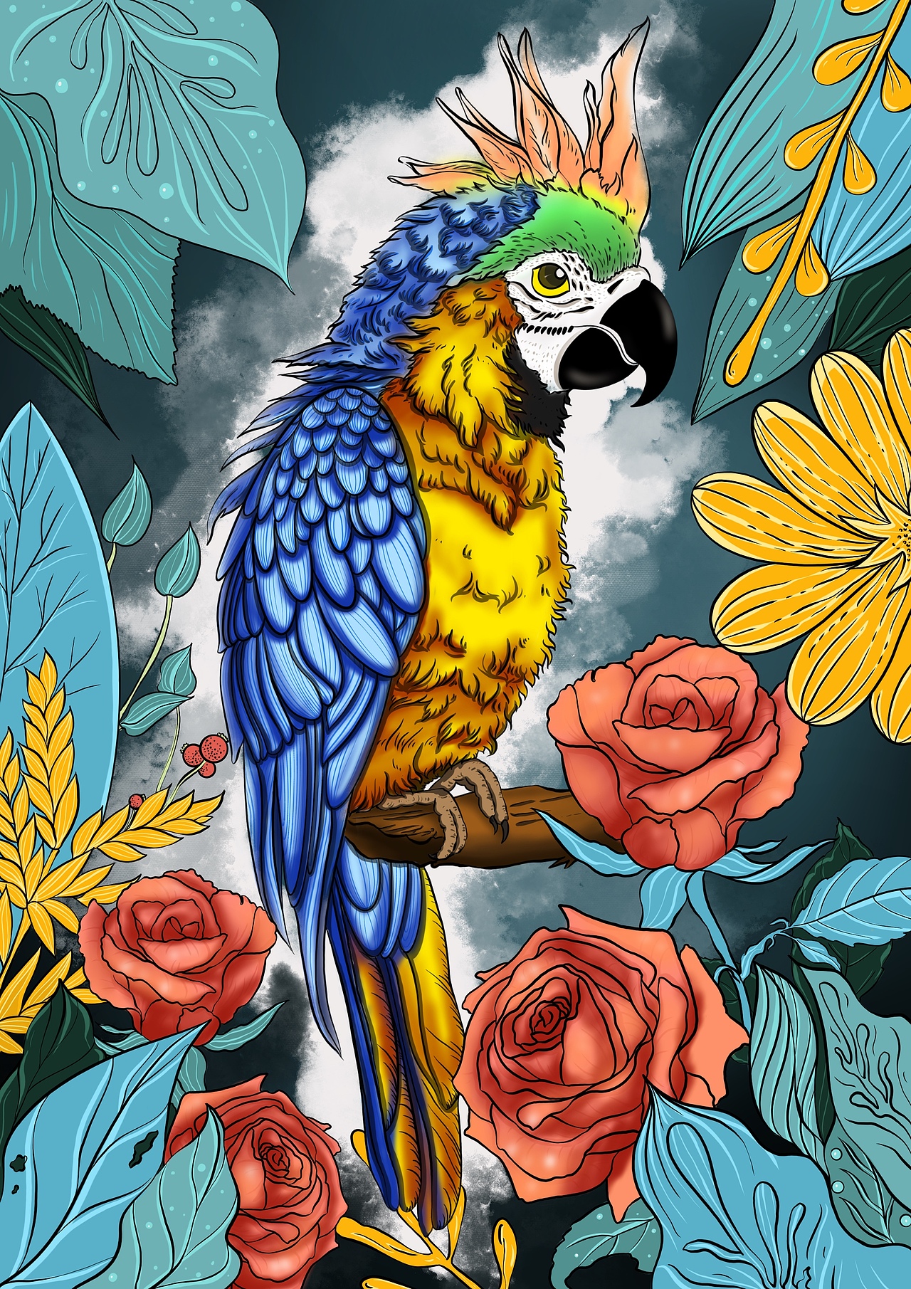 鹦鹉（图ZNDA0MTIxNjEy） - 绘本 - 站酷设计师美术小老头原创素材 - 站酷ZCOOL