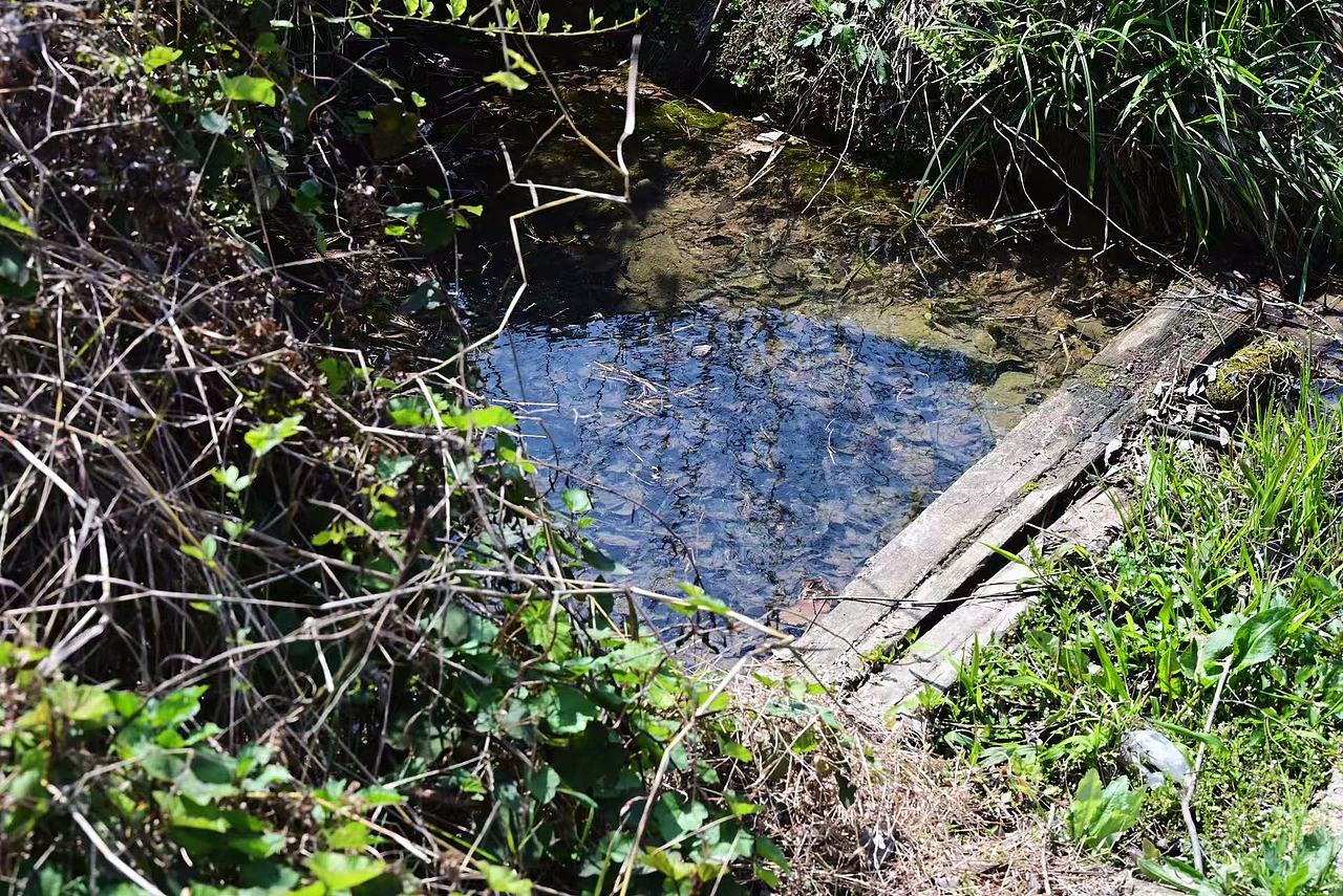 故乡的春天（图ZNDA0MTM0Mjk2） - 风光摄影 - 站酷设计师Onlybluegreen原创素材 - 站酷ZCOOL