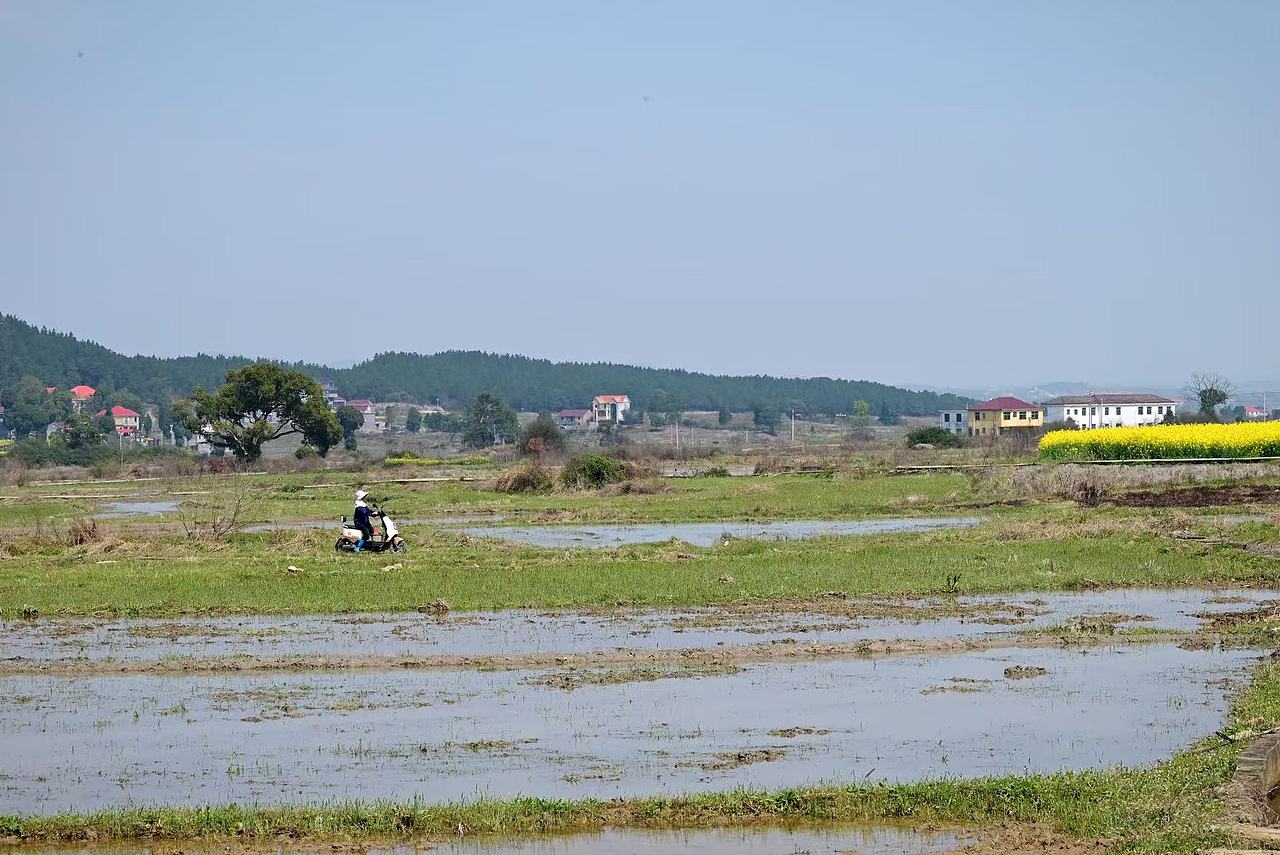 故乡的春天（图ZNDA0MTM0NTc2） - 风光摄影 - 站酷设计师Onlybluegreen原创素材 - 站酷ZCOOL