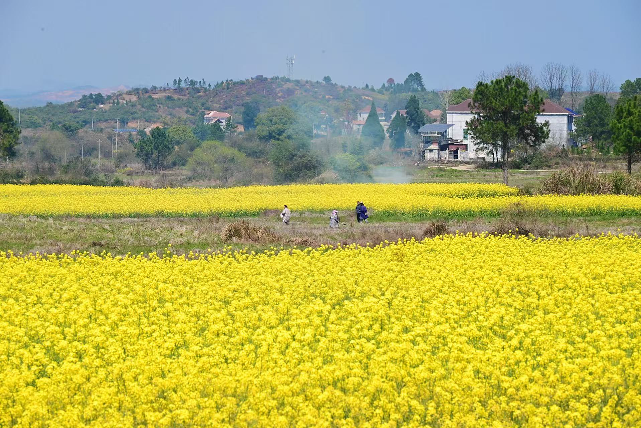 故乡的春天（图ZNDA0MTM2OTE2） - 风光摄影 - 站酷设计师Onlybluegreen原创素材 - 站酷ZCOOL