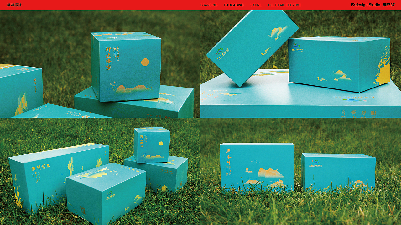 非相设计包装合集｜不内卷有质感靠设计出圈de核心逻辑（图ZNDA0MTQwOTU2） - 包装 - 站酷设计师非相设计Fxdesign原创素材 - 站酷ZCOOL