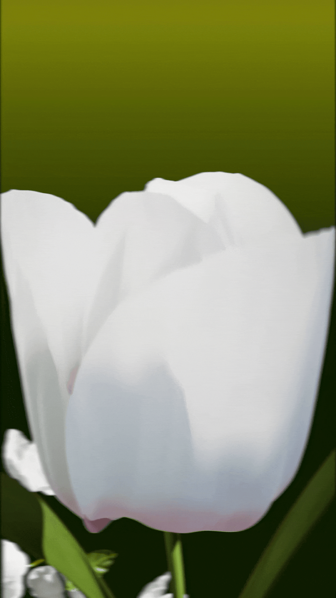 三维动态设计Showreel_2025（图ZNDA0MTU4MDQ0） - 产品 - 站酷设计师达文西_原创素材 - 站酷ZCOOL