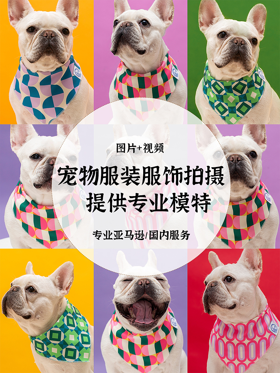 2026宠物产品拍摄案例（图ZNDA0MTY2MDU2） - 宠物摄影 - 站酷设计师宠品摄原创素材 - 站酷ZCOOL