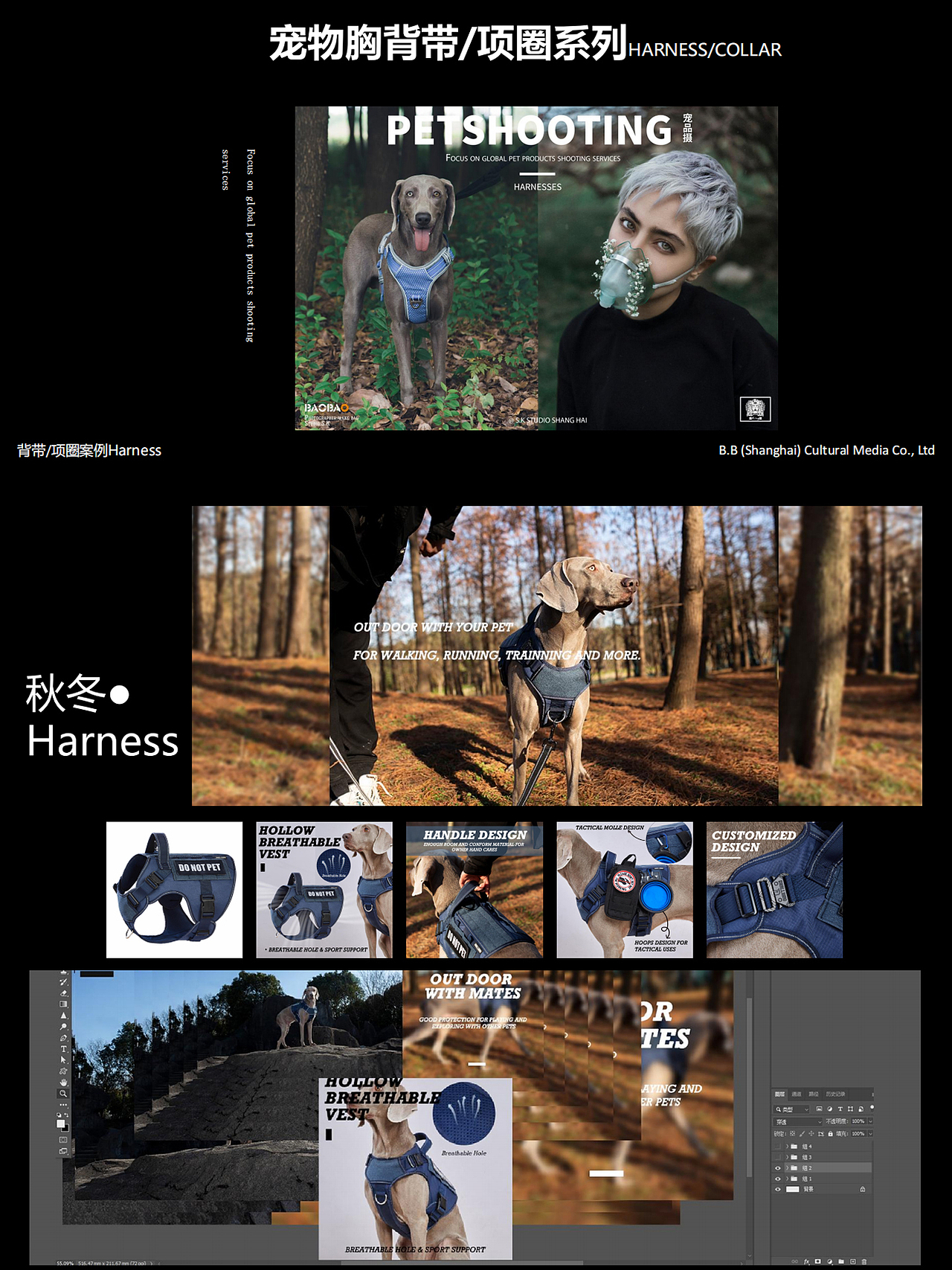 2026宠物产品拍摄案例（图ZNDA0MTY2MDcy） - 宠物摄影 - 站酷设计师宠品摄原创素材 - 站酷ZCOOL