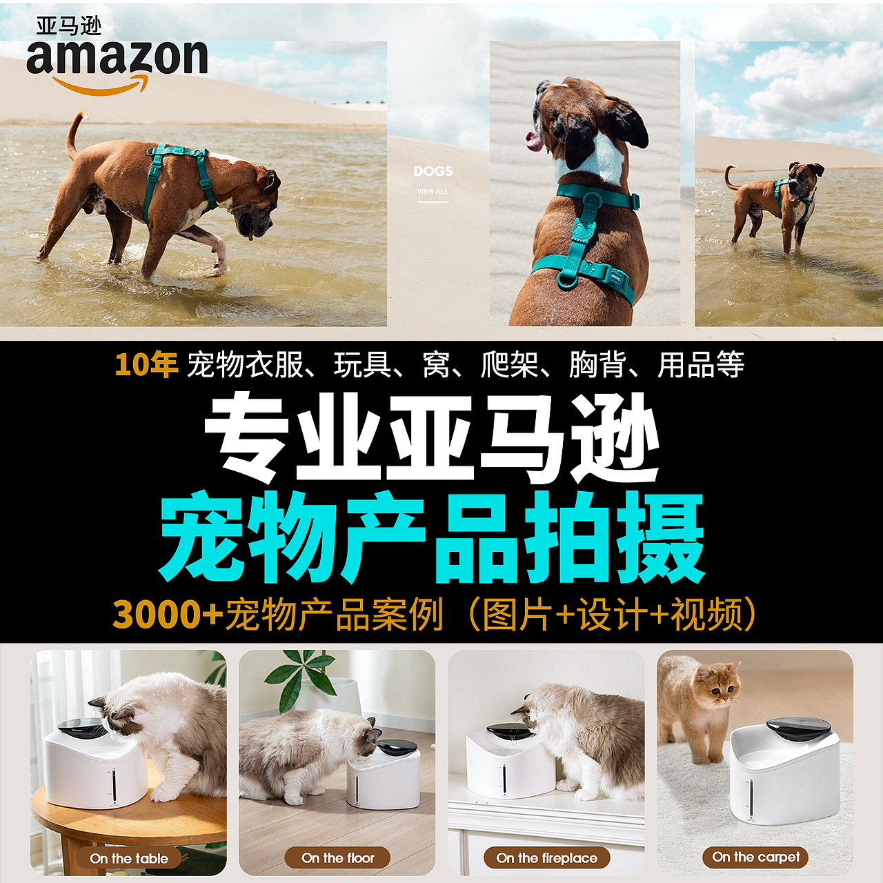 2026宠物产品拍摄案例（图ZNDA0MTY2MDg4） - 宠物摄影 - 站酷设计师宠品摄原创素材 - 站酷ZCOOL