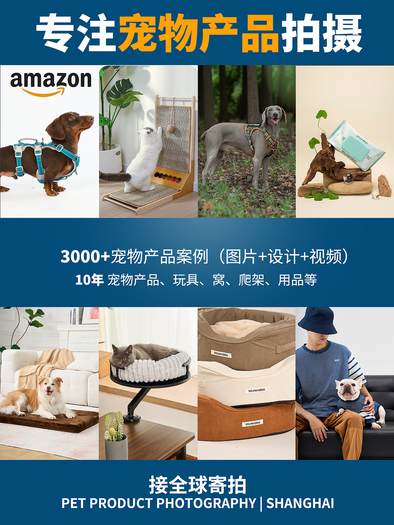2026宠物产品拍摄案例（图ZNDA0MTY2MDUy） - 宠物摄影 - 站酷设计师宠品摄原创素材 - 站酷ZCOOL