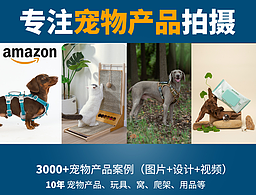 2026宠物产品拍摄案例