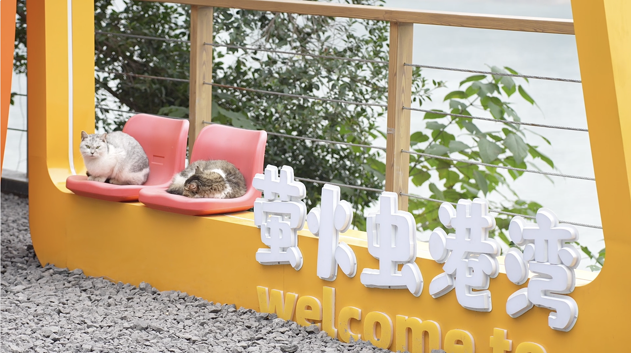 微纪录片视频：萤火虫港湾（图ZNDA0MTY3ODg0） - short film - 站酷设计师solighting原创素材 - 站酷ZCOOL